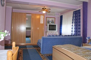 Apartmanska soba s kuhinjom -Apartmani Zagreb Apartmanska soba s kuhinjom -Apartmani Zagreb