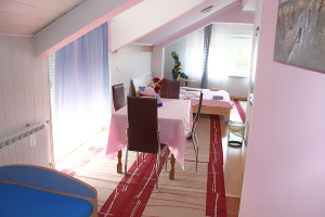 Apartments Zagreb - Room Danijel - Renting apartments in Zagreb